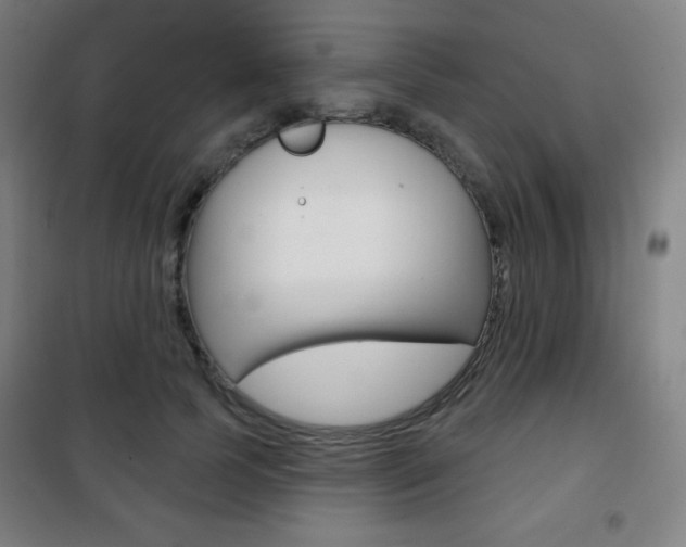 X0000101700745200807101346