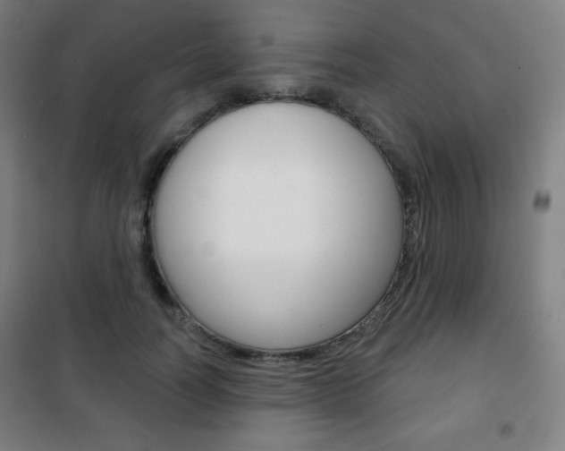 X0000101700746200807101346