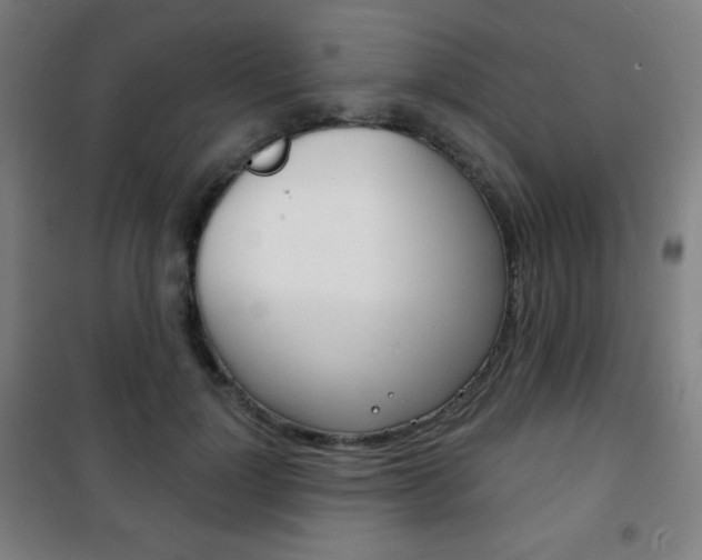 X0000101700748200807101346