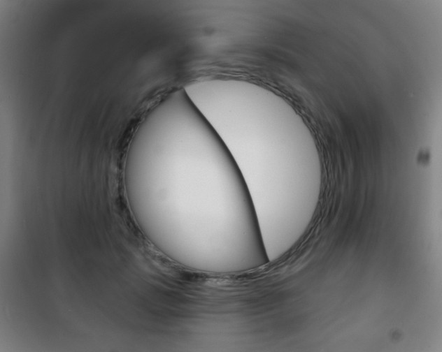 X0000101700749200807101346