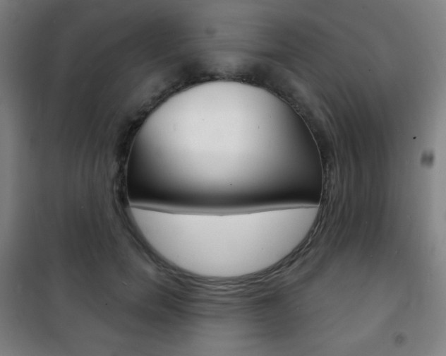 X0000101700750200807101346