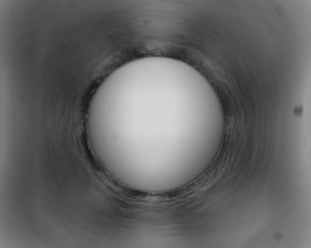 X0000101700751200807101346