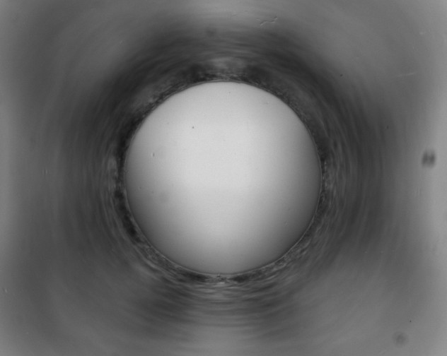 X0000101700752200807101346