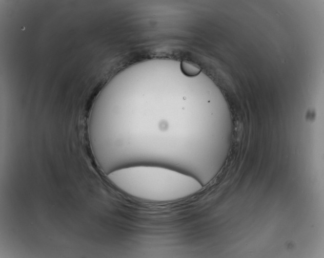 X0000101700753200807101346