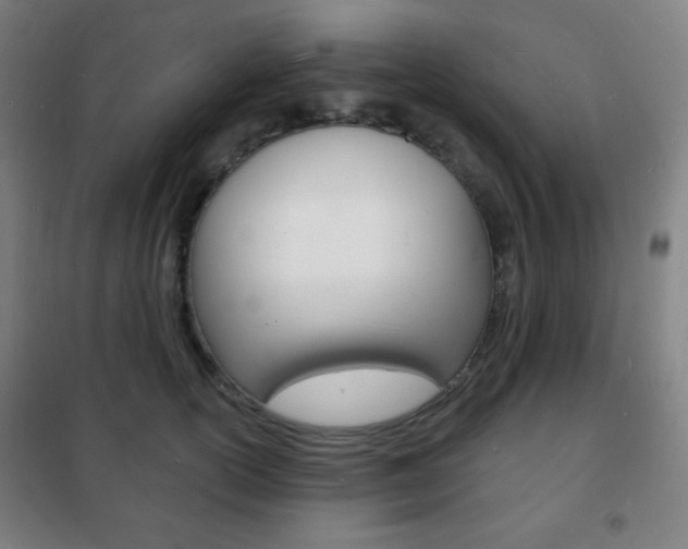 X0000101700754200807101346