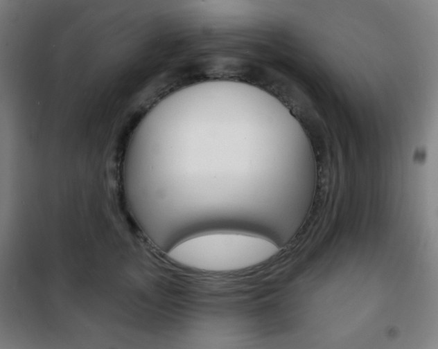 X0000101700755200807101346
