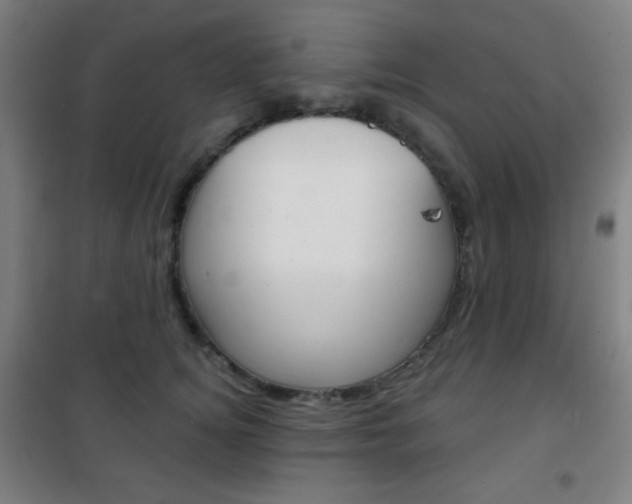 X0000101700756200807101346