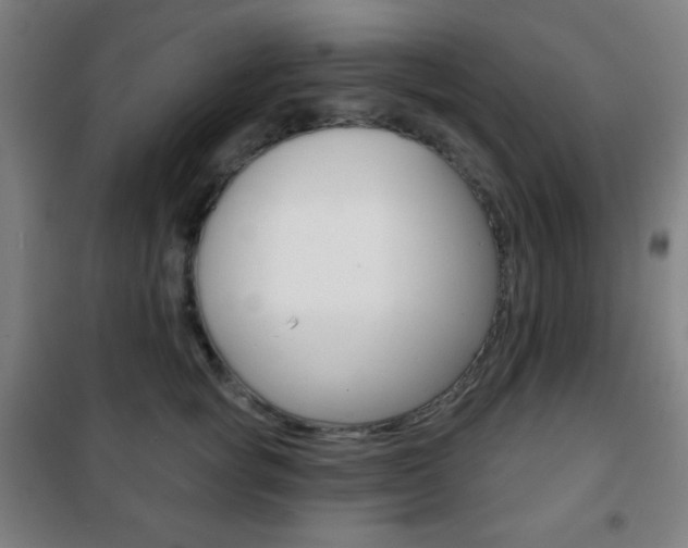 X0000101700757200807101346