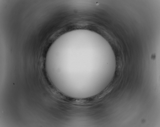 X0000101700758200807101346