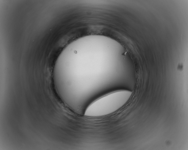 X0000101700759200807101346