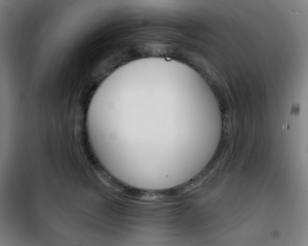 X0000101700760200807101346