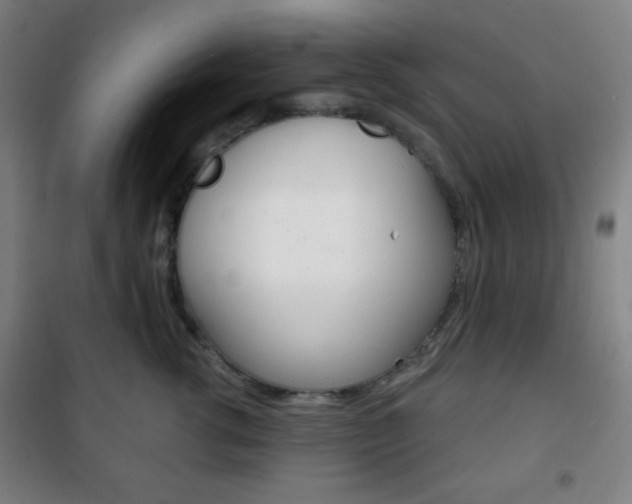 X0000101700762200807101346