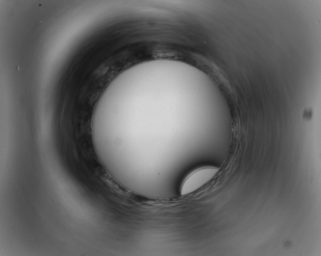 X0000101700763200807101346