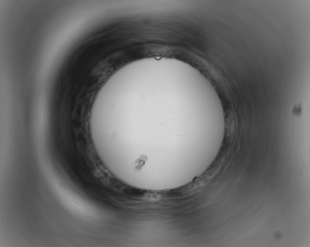 X0000101700764200807101346