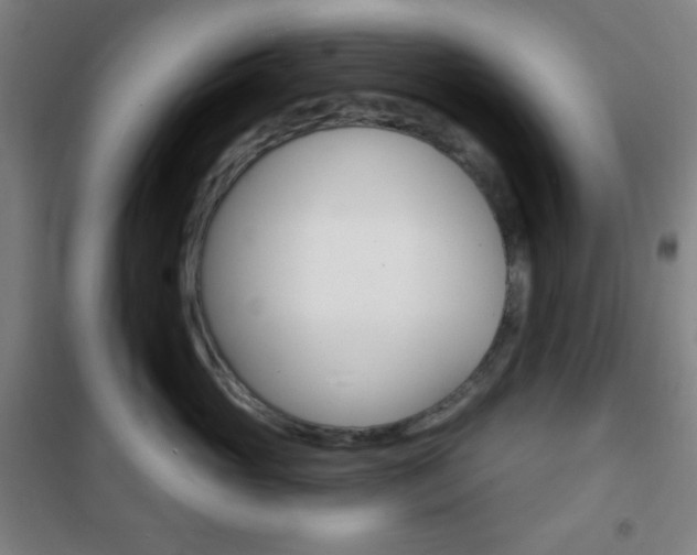 X0000101700765200807101346