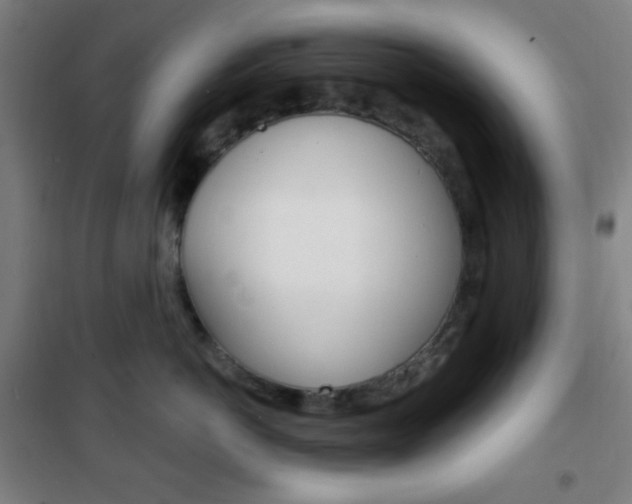 X0000101700766200807101346