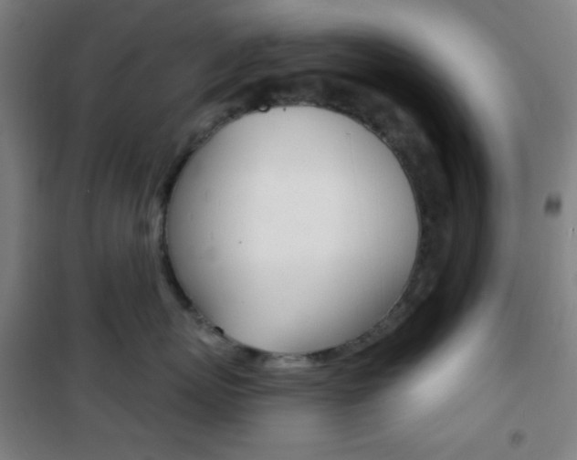 X0000101700767200807101346