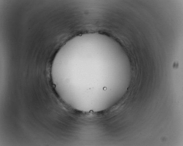X0000101700768200807101346