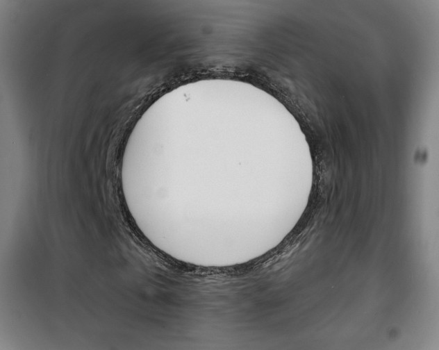 X0000101700769200807101345