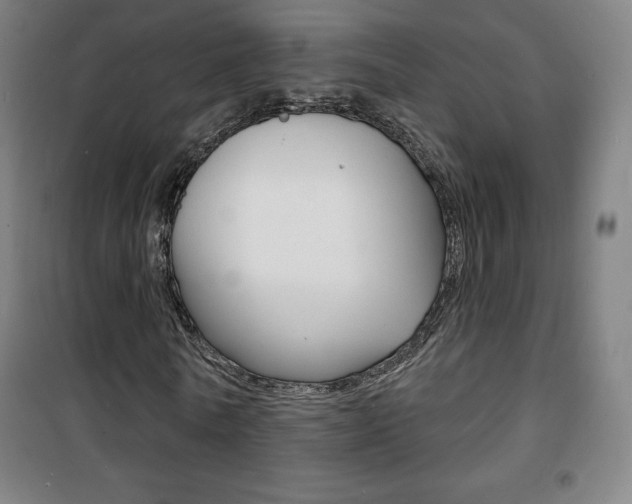X0000101700770200807101345