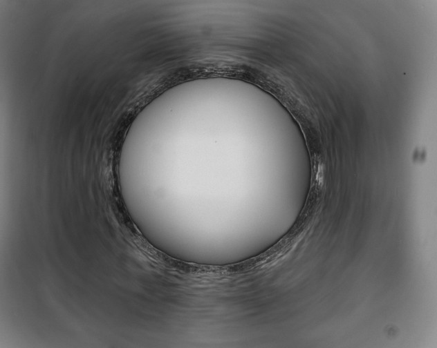 X0000101700771200807101345