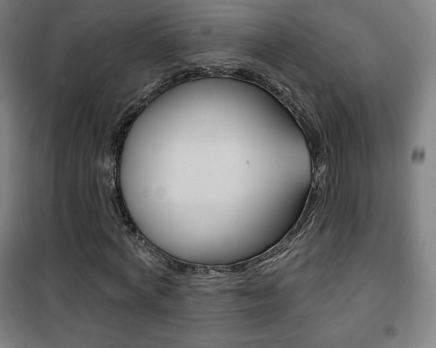 X0000101700772200807101345