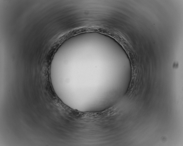 X0000101700773200807101345