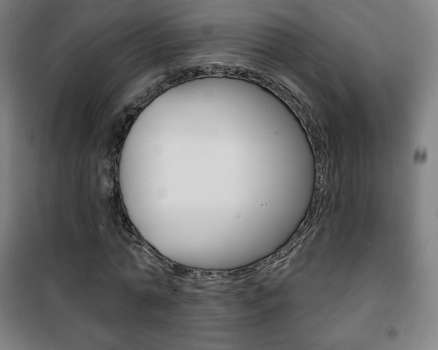 X0000101700774200807101345
