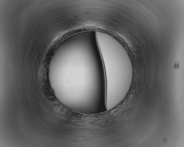 X0000101700776200807101345