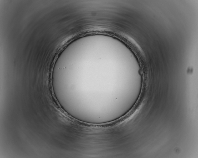 X0000101700777200807101345