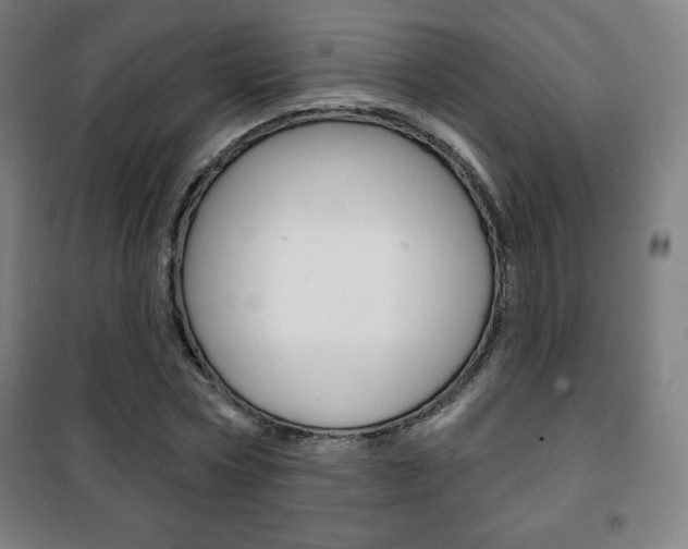X0000101700778200807101345