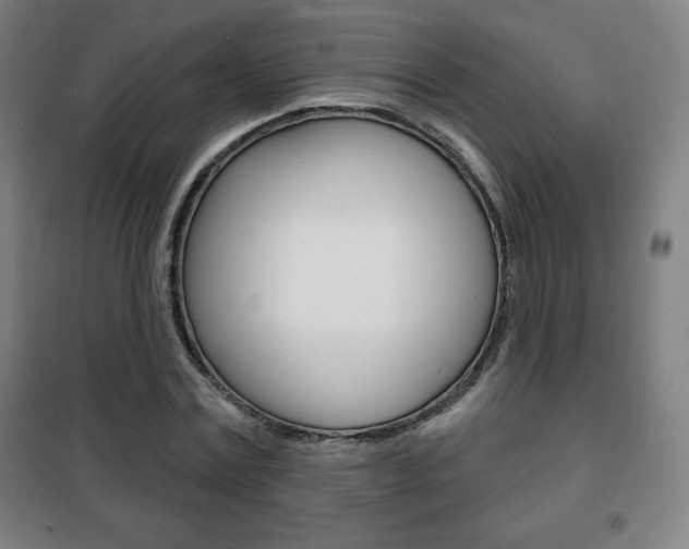 X0000101700779200807101345