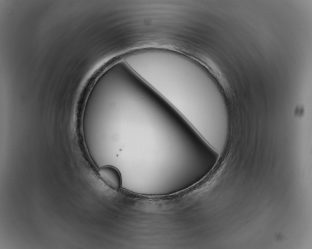 X0000101700780200807101345
