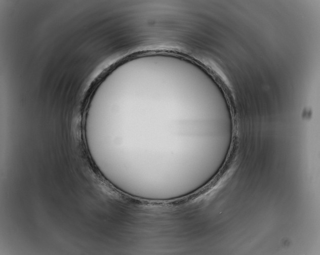 X0000101700781200807101345