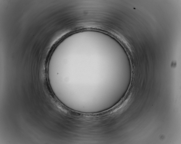 X0000101700782200807101345