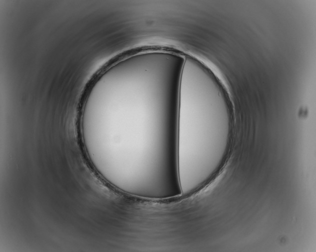 X0000101700783200807101345