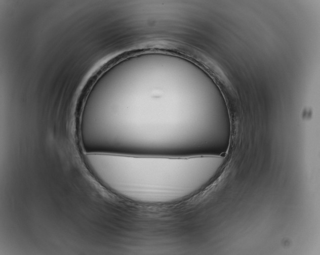 X0000101700784200807101345