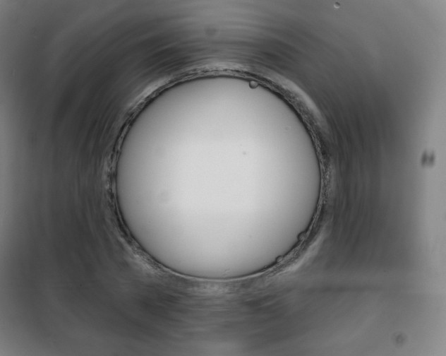 X0000101700785200807101345