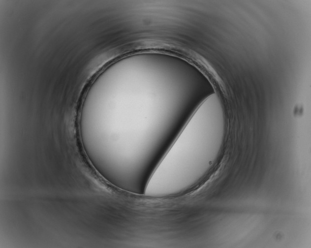 X0000101700786200807101345