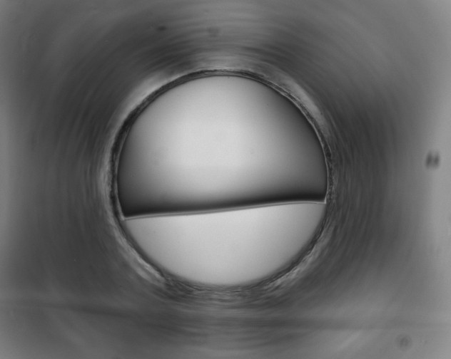 X0000101700787200807101345