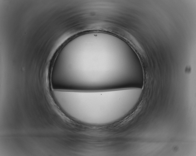 X0000101700788200807101345