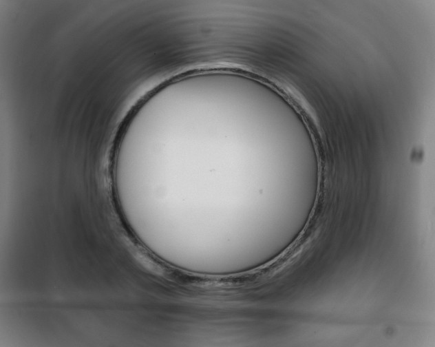 X0000101700789200807101345