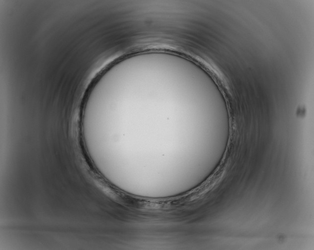 X0000101700790200807101345