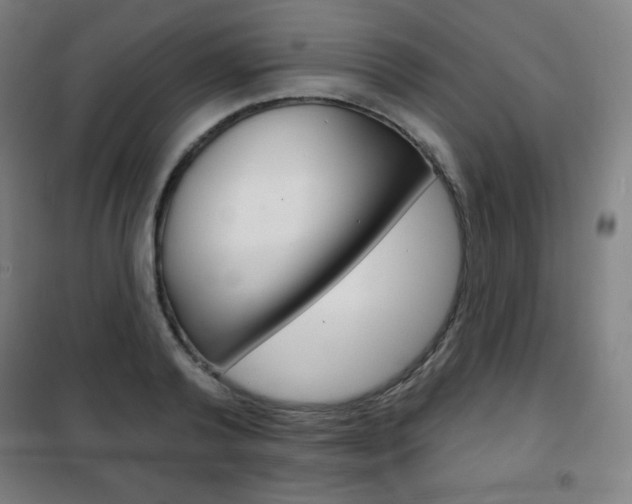 X0000101700792200807101345