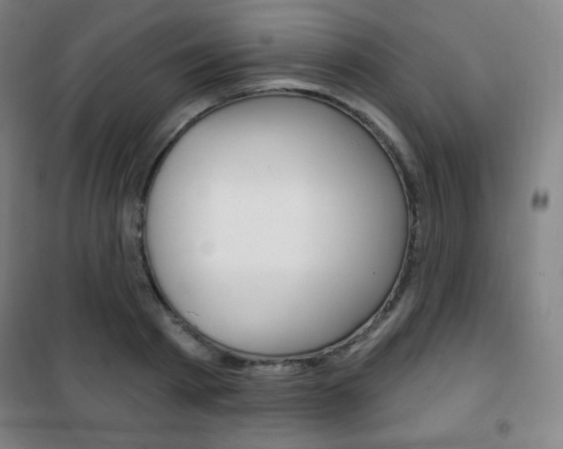 X0000101700793200807101345