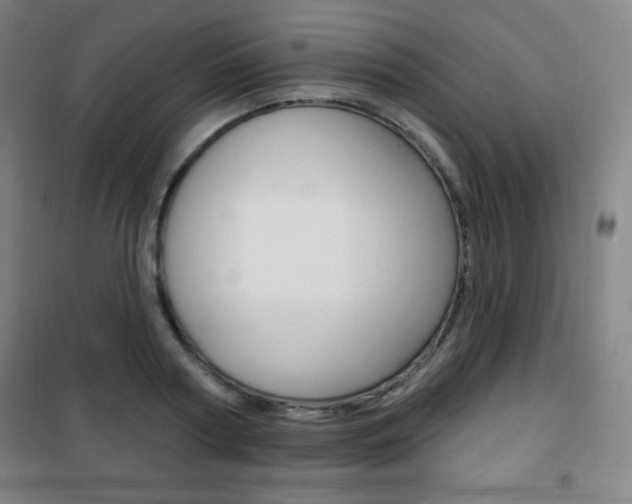 X0000101700794200807101344