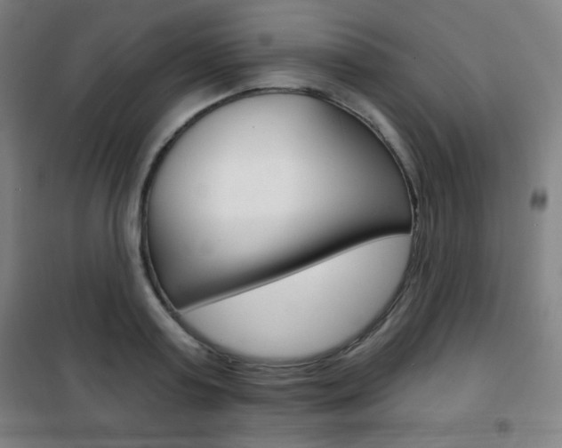 X0000101700795200807101344