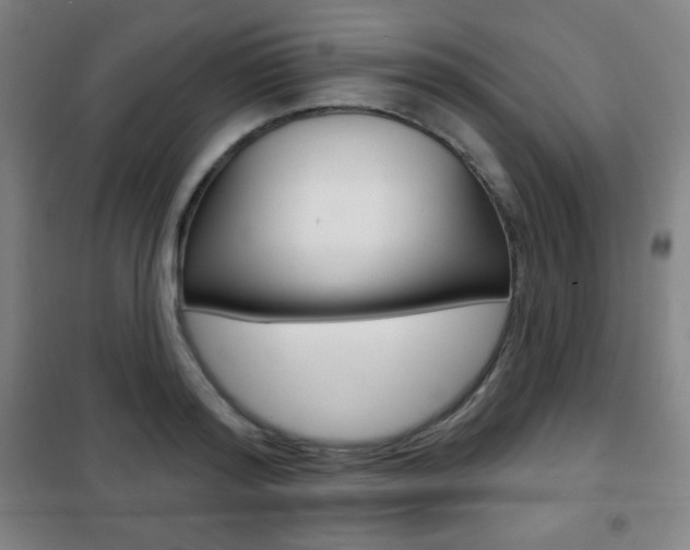 X0000101700796200807101344