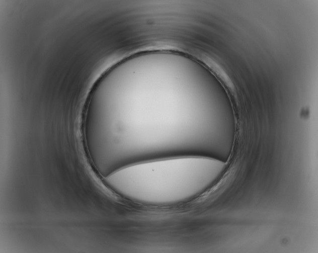 X0000101700797200807101344