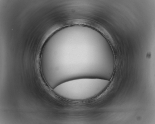 X0000101700798200807101344